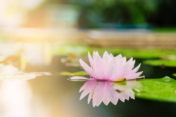 모든 문제의 해답은 내 안에 있다