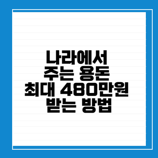 정부지원금
