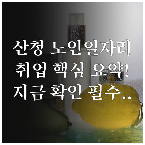 산청군 노인일자리 종류와 사회복지사 ..