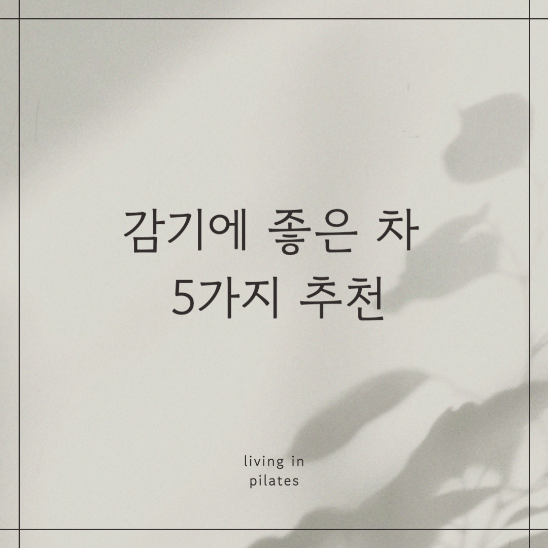 감기에 좋은 차 5가지 추천