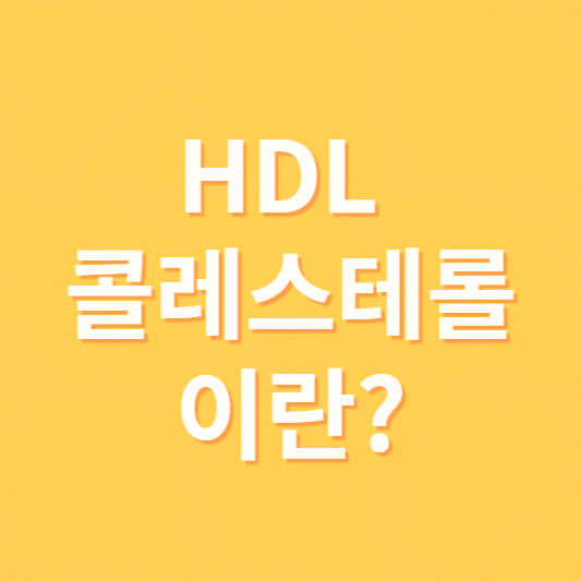 HDL콜레스테롤이란