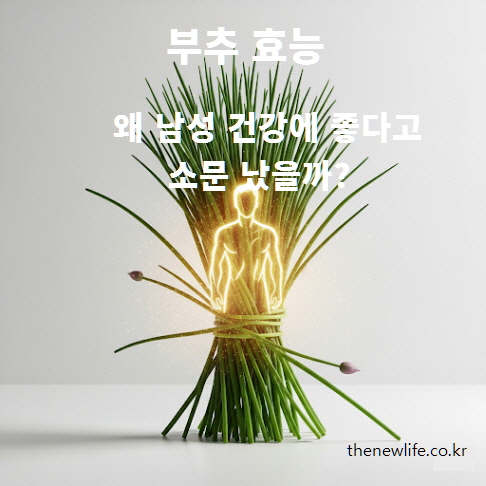 부추 효능 – 남성 건강에 좋은 이유와 과학적 근거