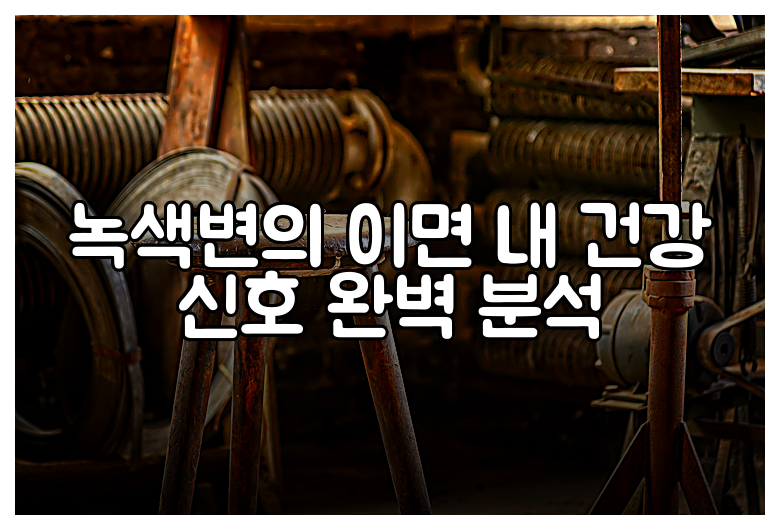 녹색변의 이면 내 건강 신호 완벽 분석