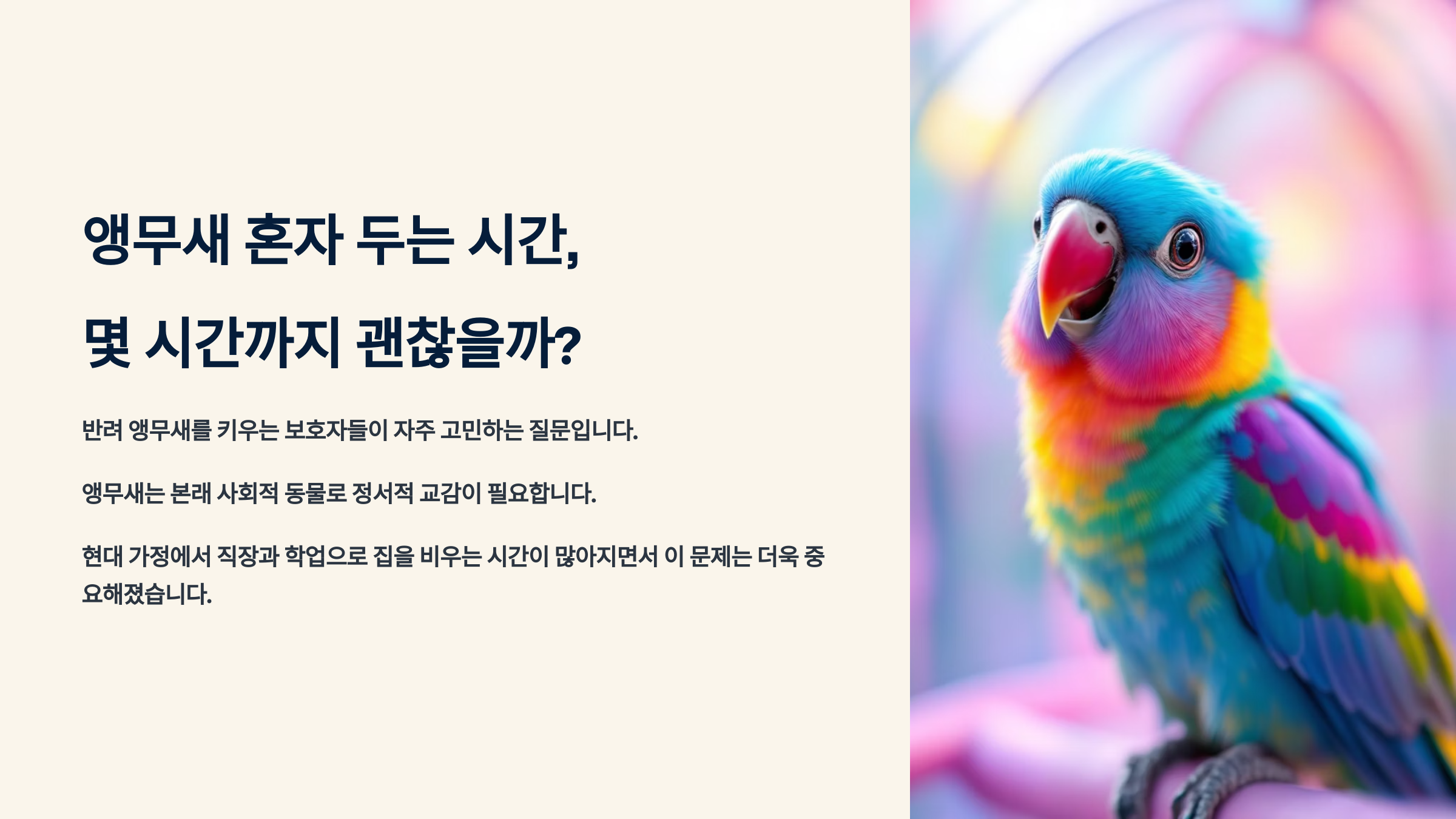 앵무새 혼자 두는 시간, 몇 시간까지 괜찮을까?