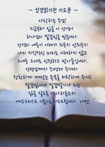 성경읽기 사이트 인터넷 온라인 성경읽기 다운받기 BEST 5_10