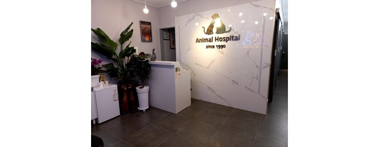 경기도 광주 동물병원