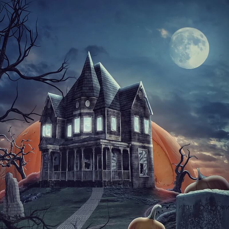 숲 속에 뜬 보름달 그림