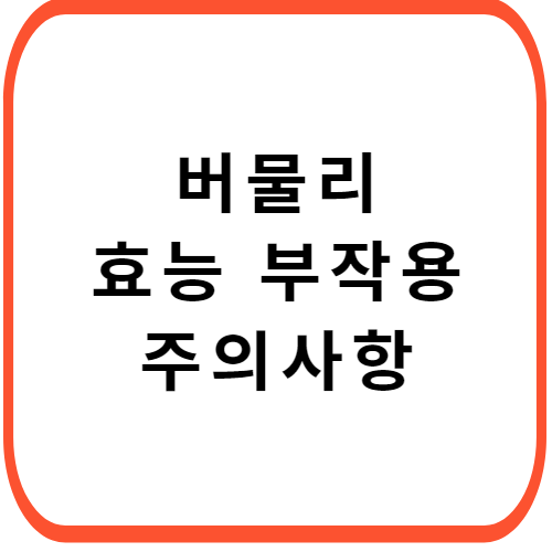 버물리겔-썸네일