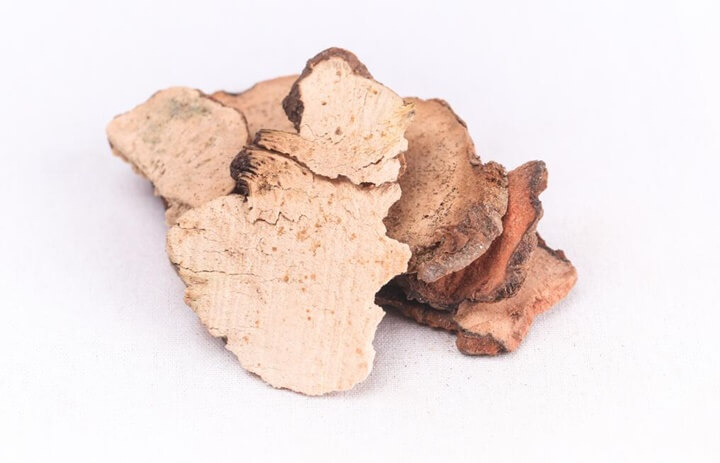 건조한-토복령-사진