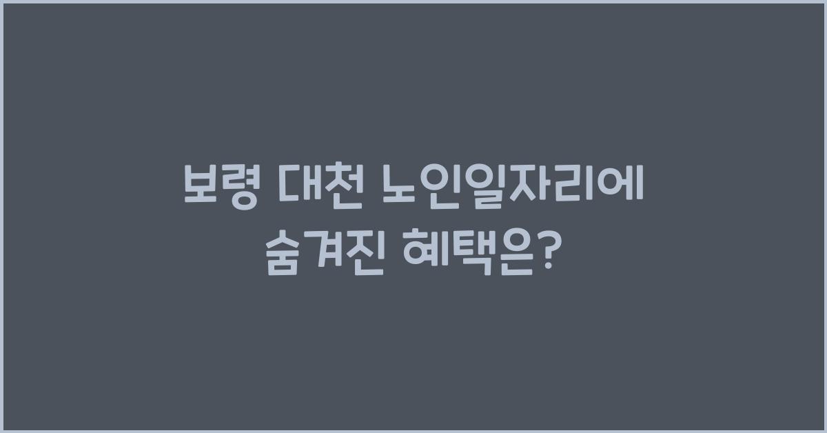 보령 대천 노인일자리