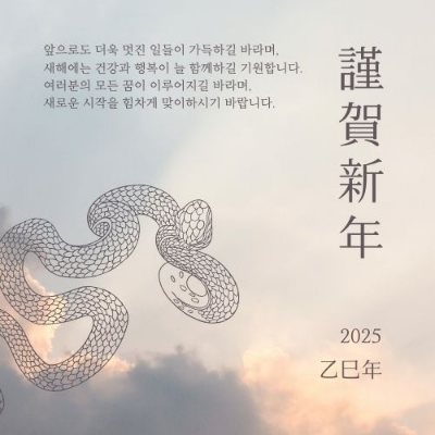 2025년 무슨해 을사년 띠 뱀띠