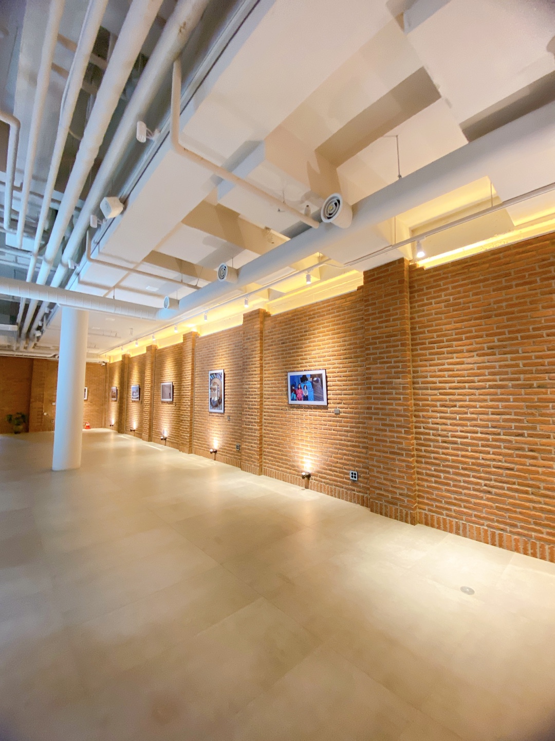 제주 애견 할리스 연북로점