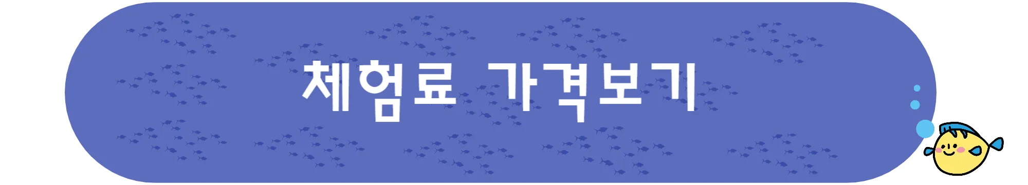 체험료 가격보기