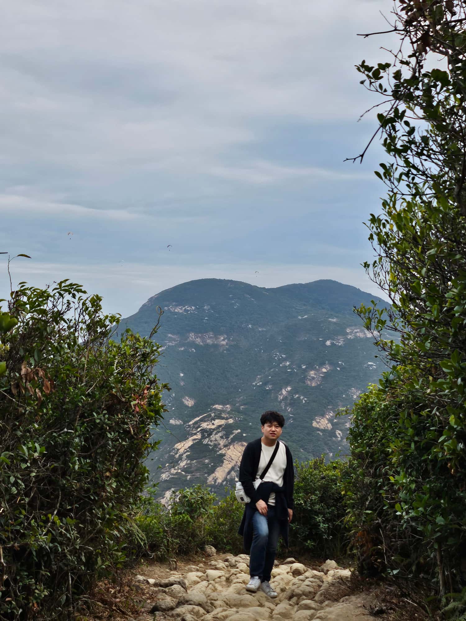 드래곤즈 백 후기