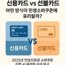 민생 소비 쿠폰, 어디서 못 쓰나요? (2025년 최신 기준)