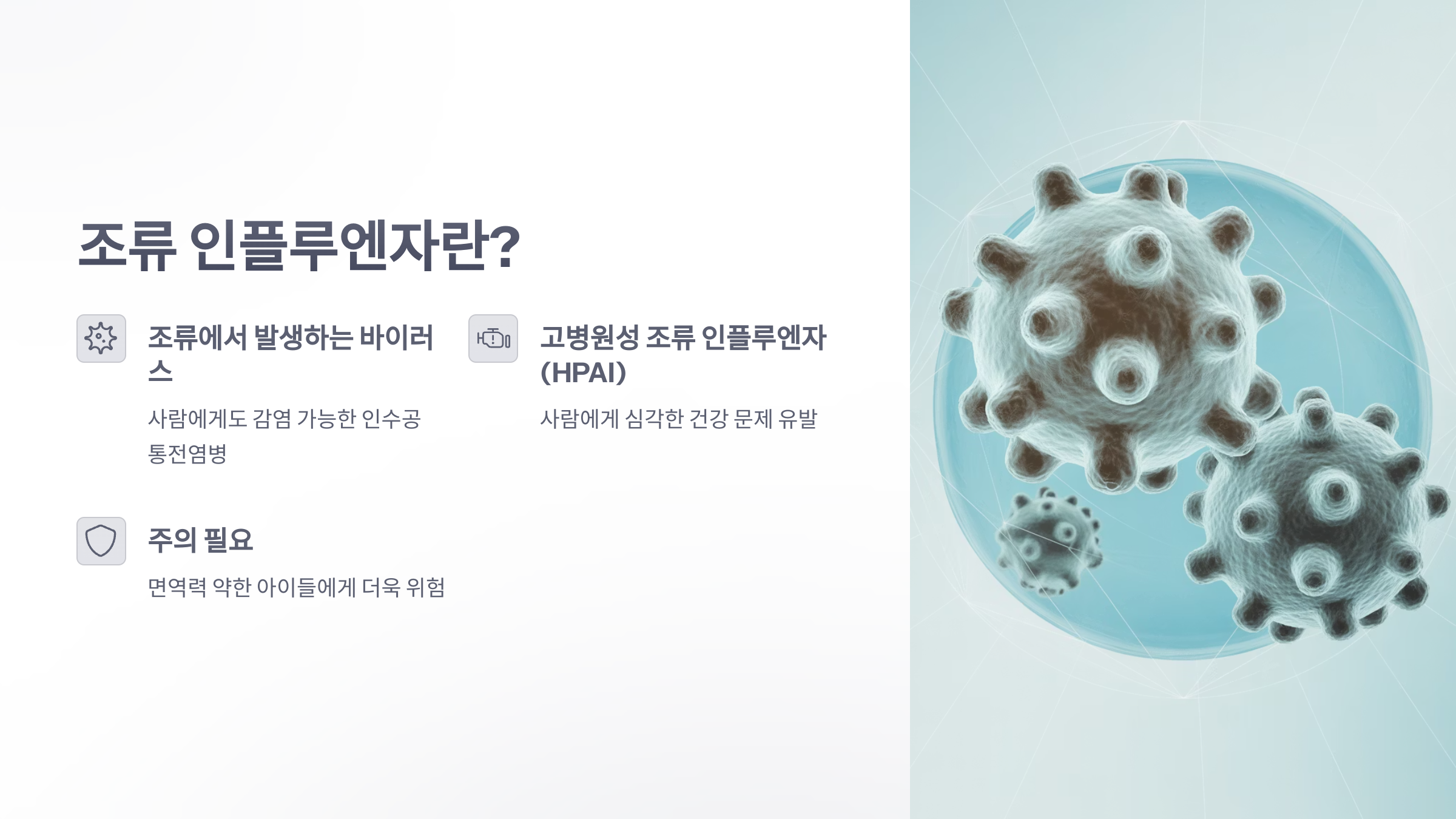 참조-조류-인플루엔자-2