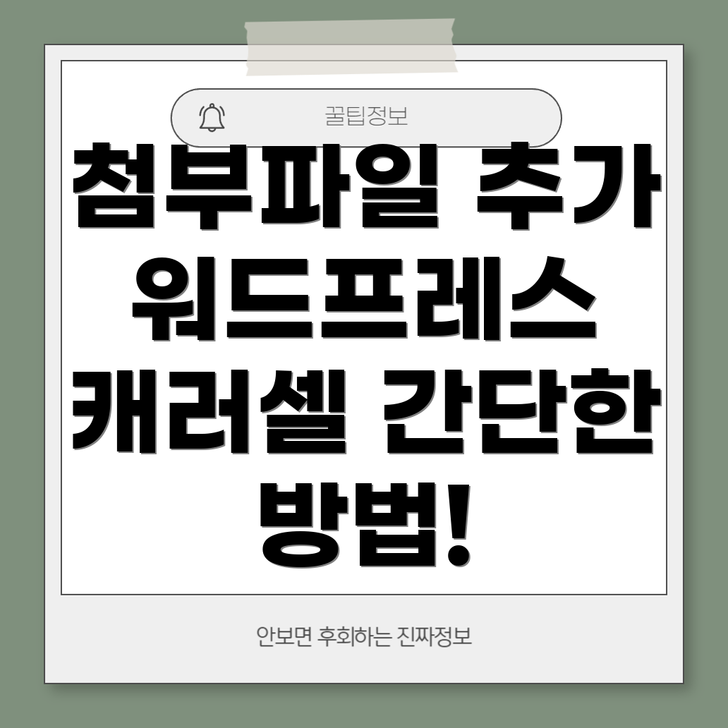 인스타그램 캐러셀