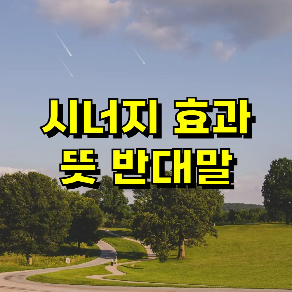 시너지 효과 뜻 반대말