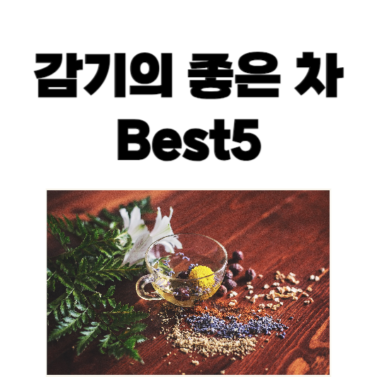 감기에 좋은 차 Best5