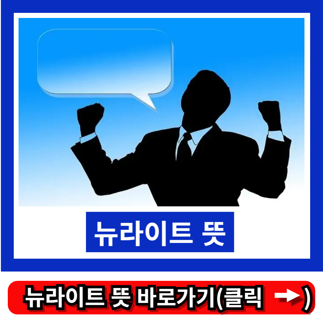 뉴라이트 뜻