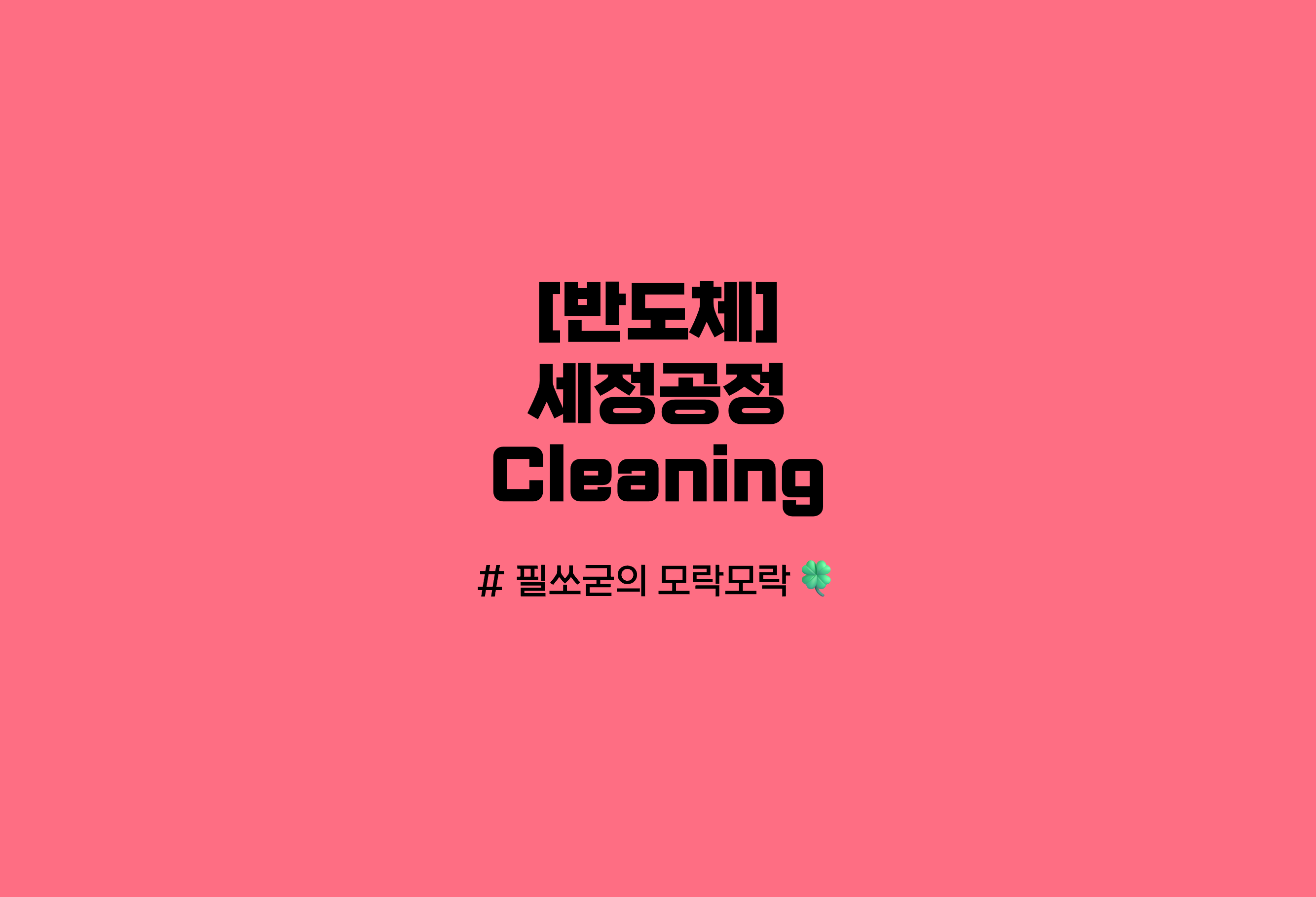 세정공정
