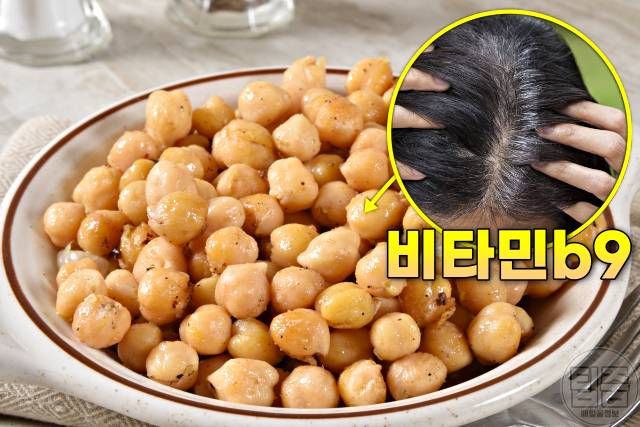 흰머리 없애는 음식 병아리콩 흰머리 검은머리로