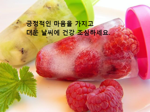 키위와 산딸기를 넣어 만든 얼음 아이스크림