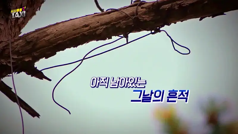 그알 그것이알고싶다 포항 고양이 연쇄 살해 사건 캣맘 불법 먹이 투기 행위 반대 캣 프레데터 강력 살인 범죄 징조 사례 1318회