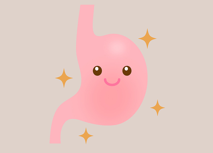 소화-기능-향상