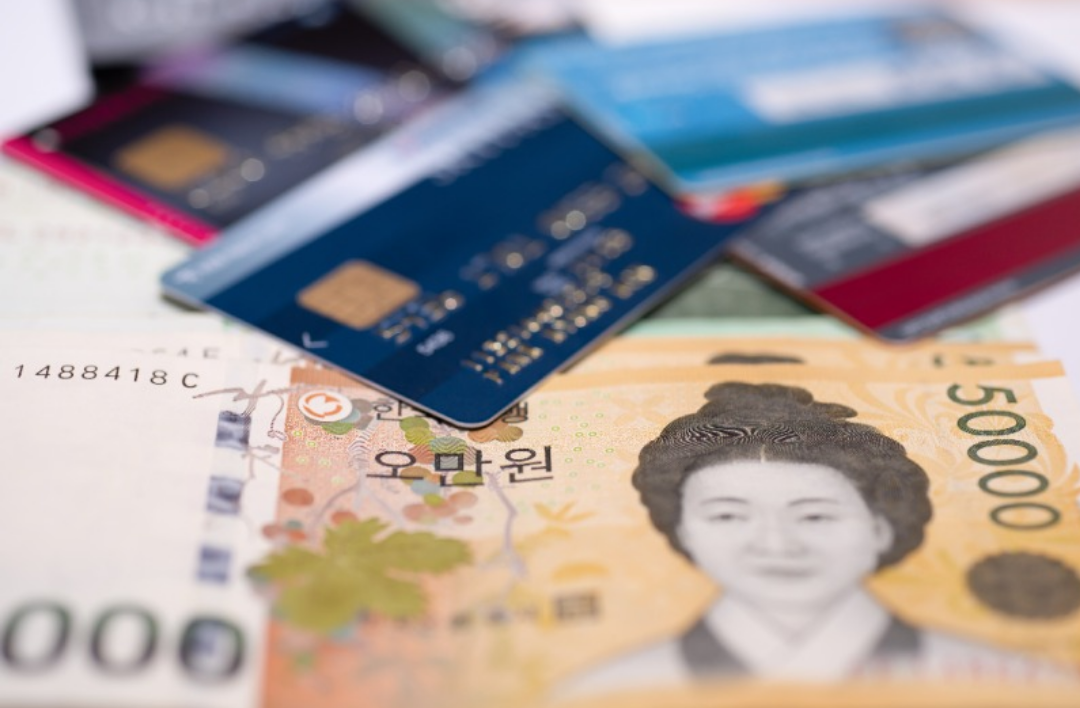 수많은 신용카드와 오만원권 지폐들