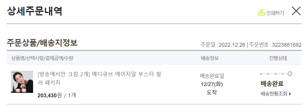 부스터힐러