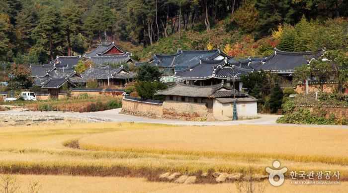 닭실마을