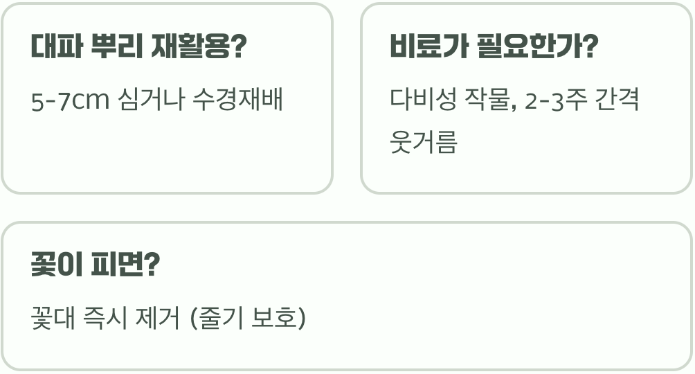 대파 심는 법 A to Z, 씨앗부터 모종까지 완벽 가이드