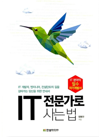 IT 전문가로 사는 법&#44; IT 직업에 종사하는 당신을 위한 안내서