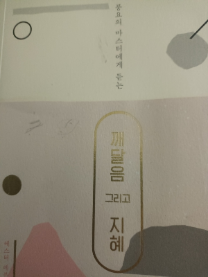 레스터 레븐슨 &lt;깨달음 그리고 지혜 &gt; 책 표지 사진
