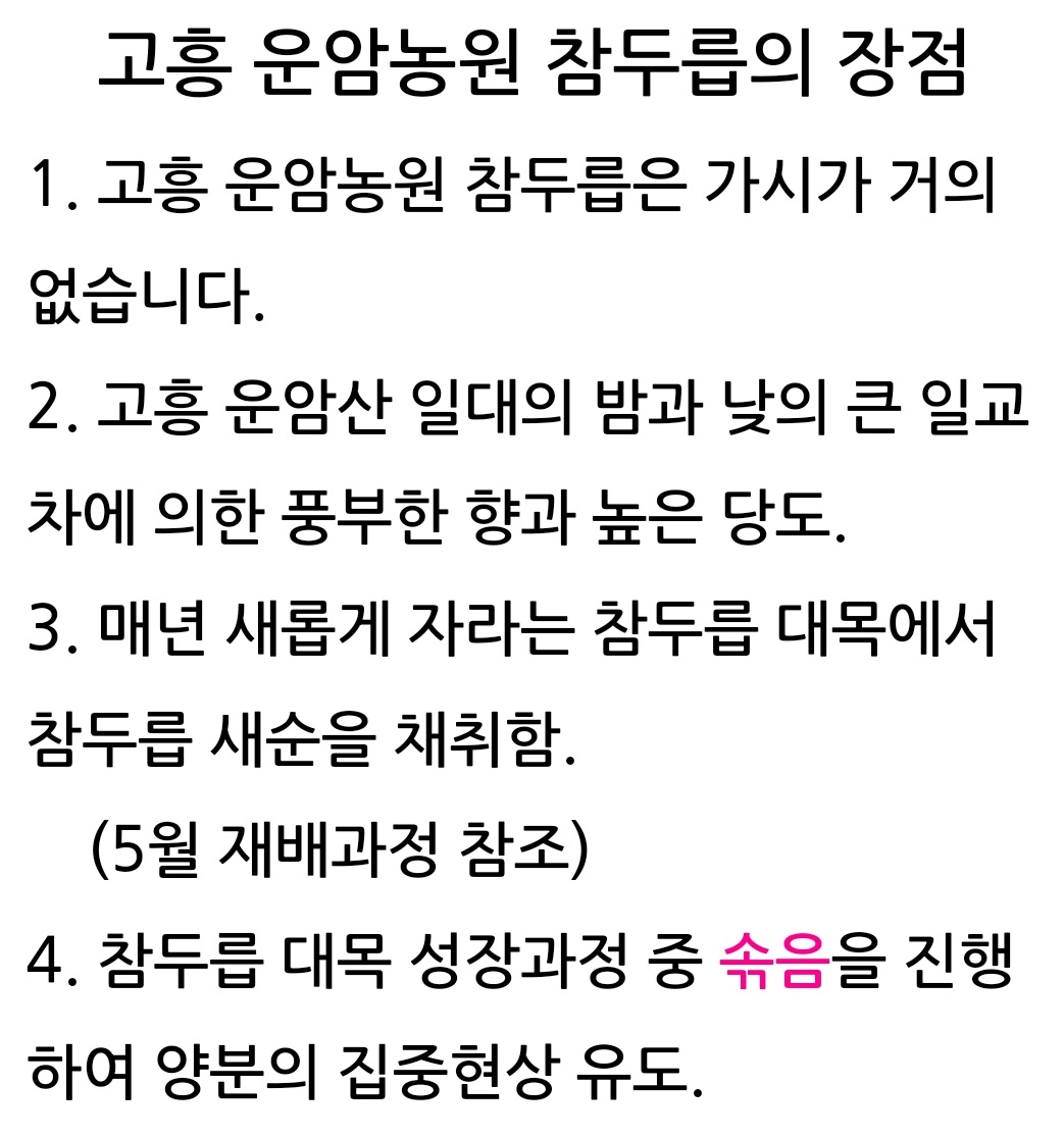 고흥-참두릅-현각-운암산