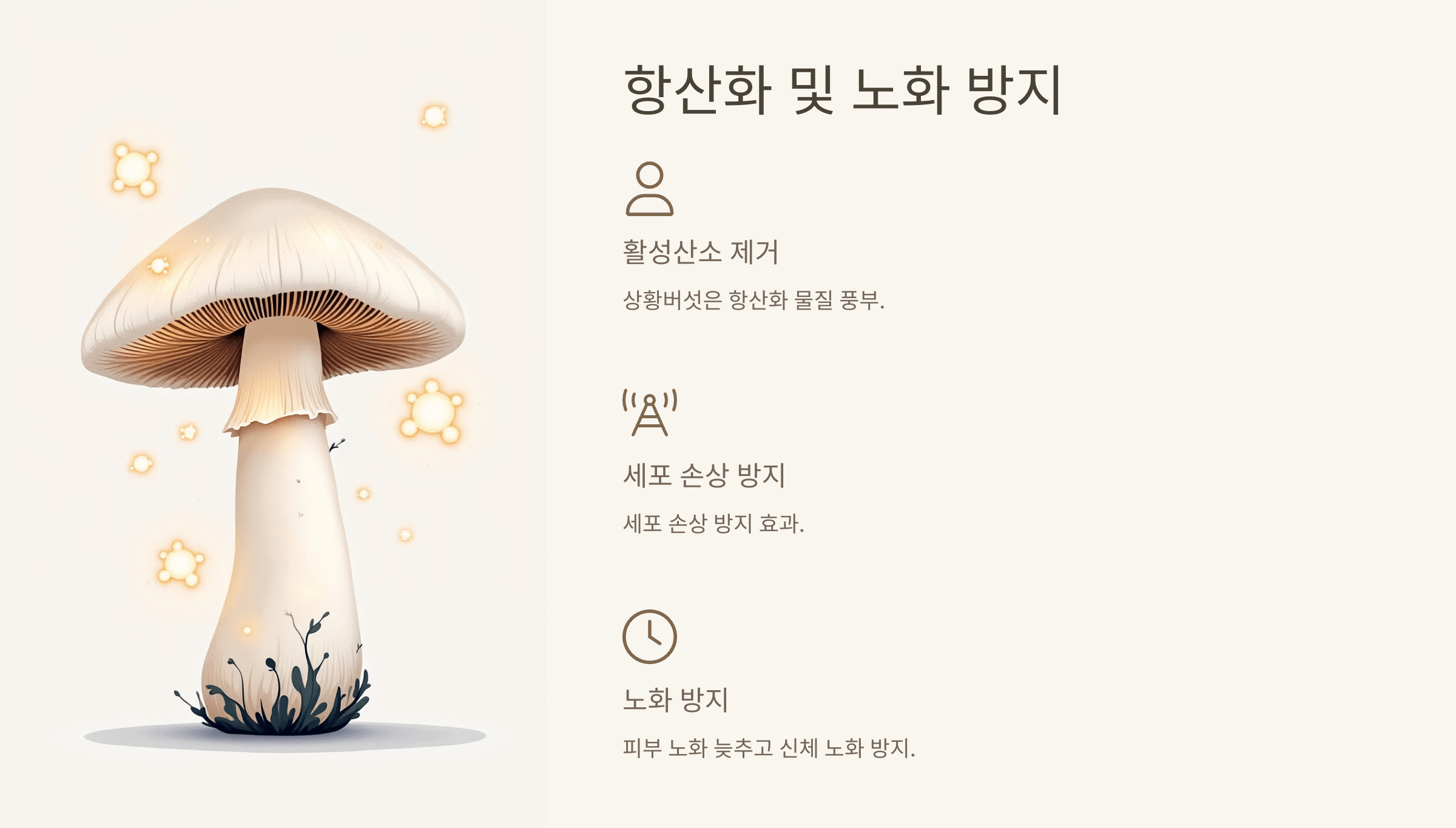 상황버섯 사진입니다.