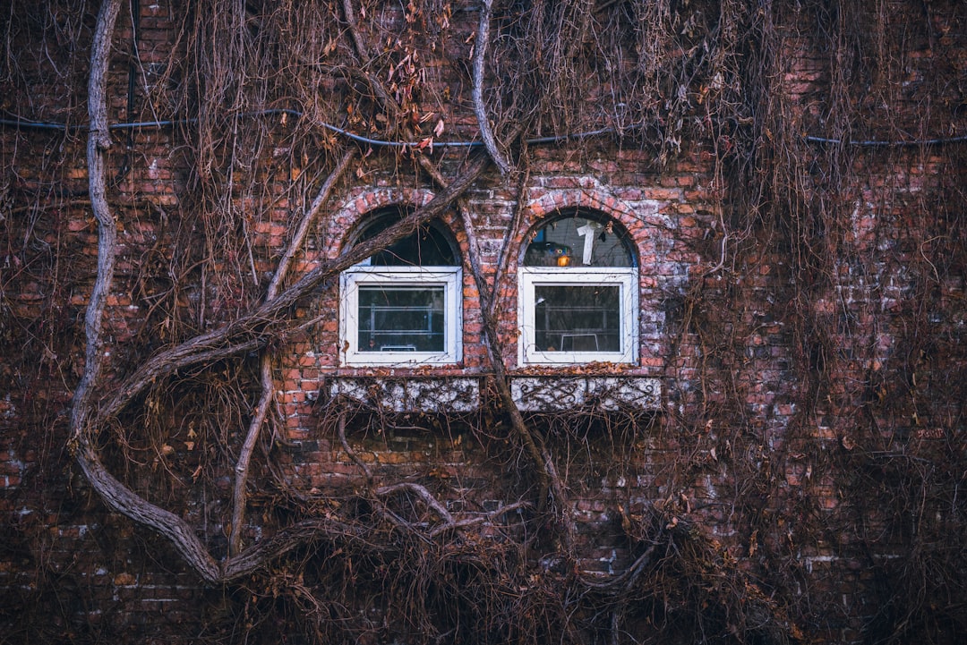 Windows