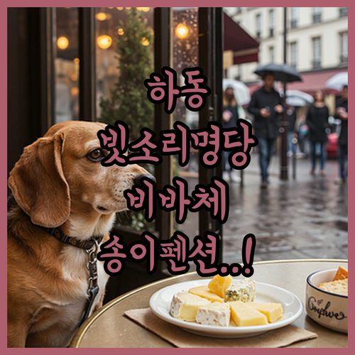 하동 화개면 비바체리조트부터 송이펜션..