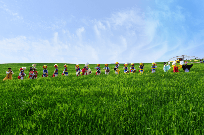 고창 청보리밭 축제