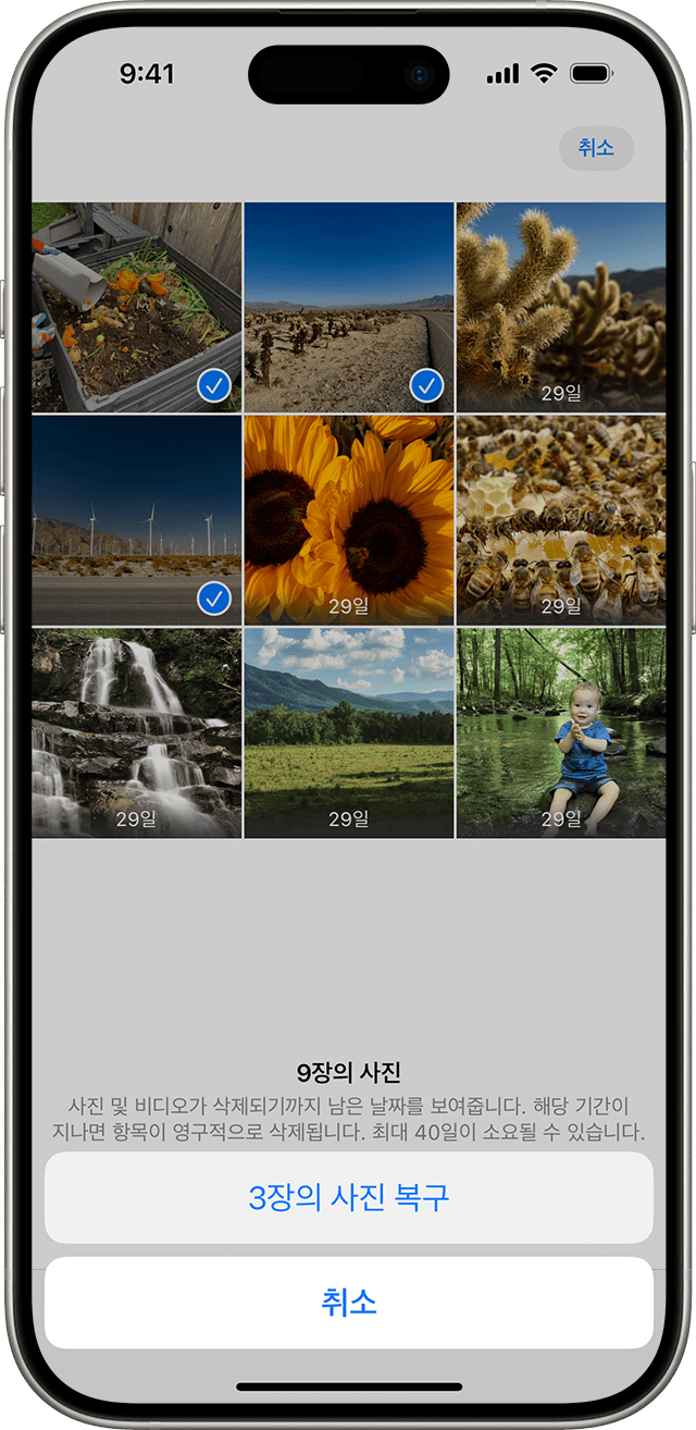 사진 및 비디오 삭제 또는 가리기