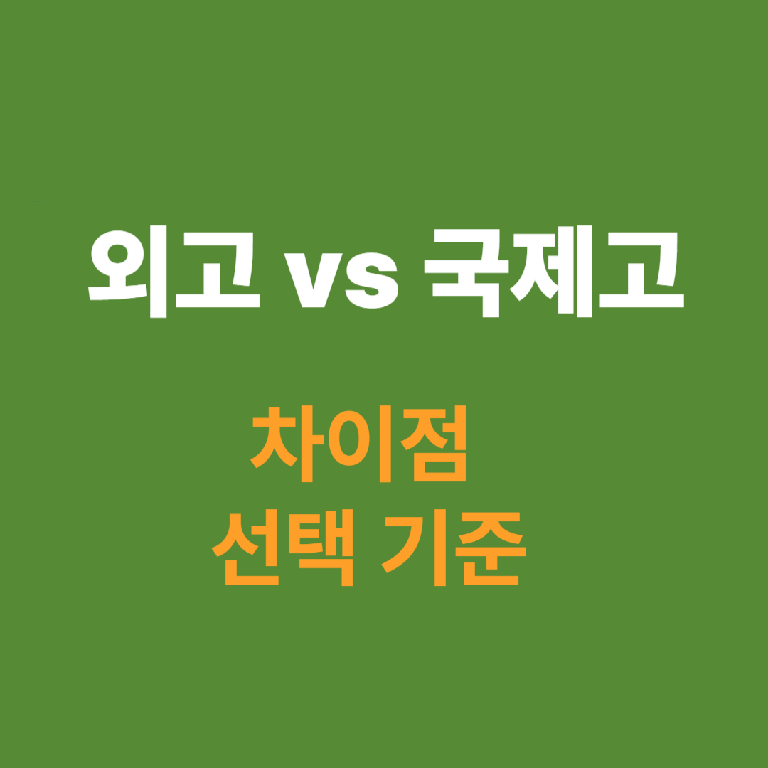 외고 vs 국제고 차이점 및 선택 기준