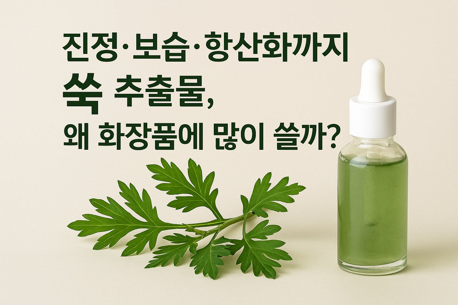 햇살 아래 놓인 쑥과 유리병, 자연주의 분위기의 감성 이미지