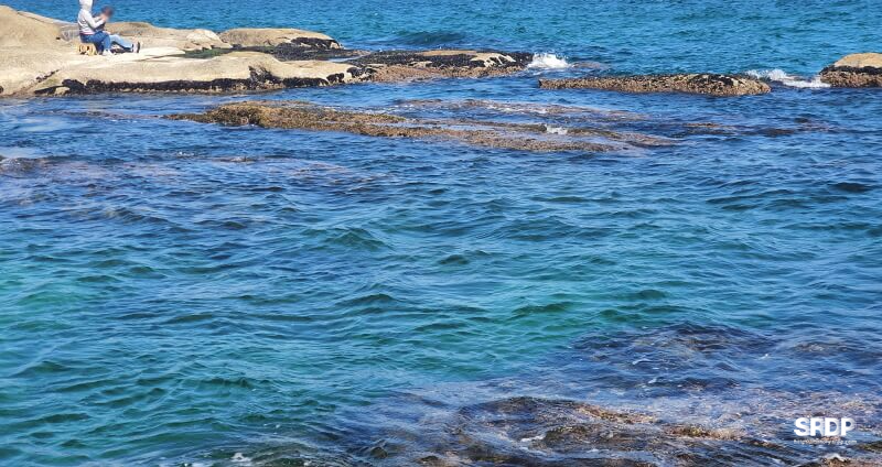 아야진-해변-해수욕장-스위밍터틀-강원도-고성-오션뷰-카페
