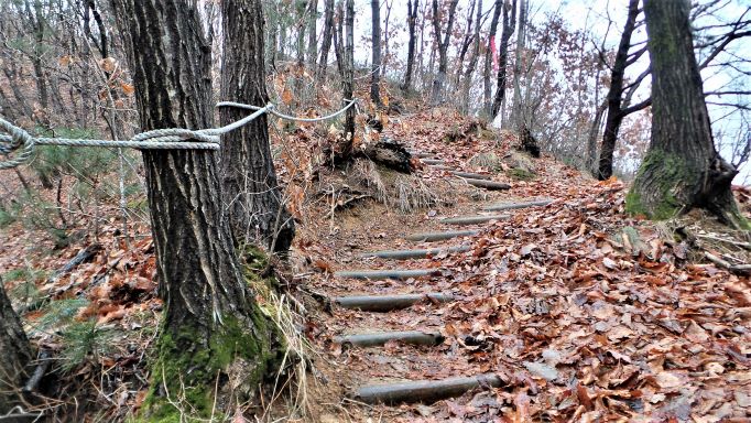 급경사 통나무 계단길, 왼쪽 나무에 매어진 안전 로프줄,