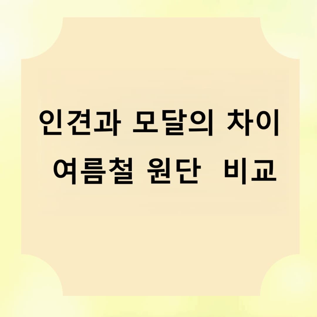 인견과 모달의 차이? 여름철 시원한 원단 제대로 비교해보세요