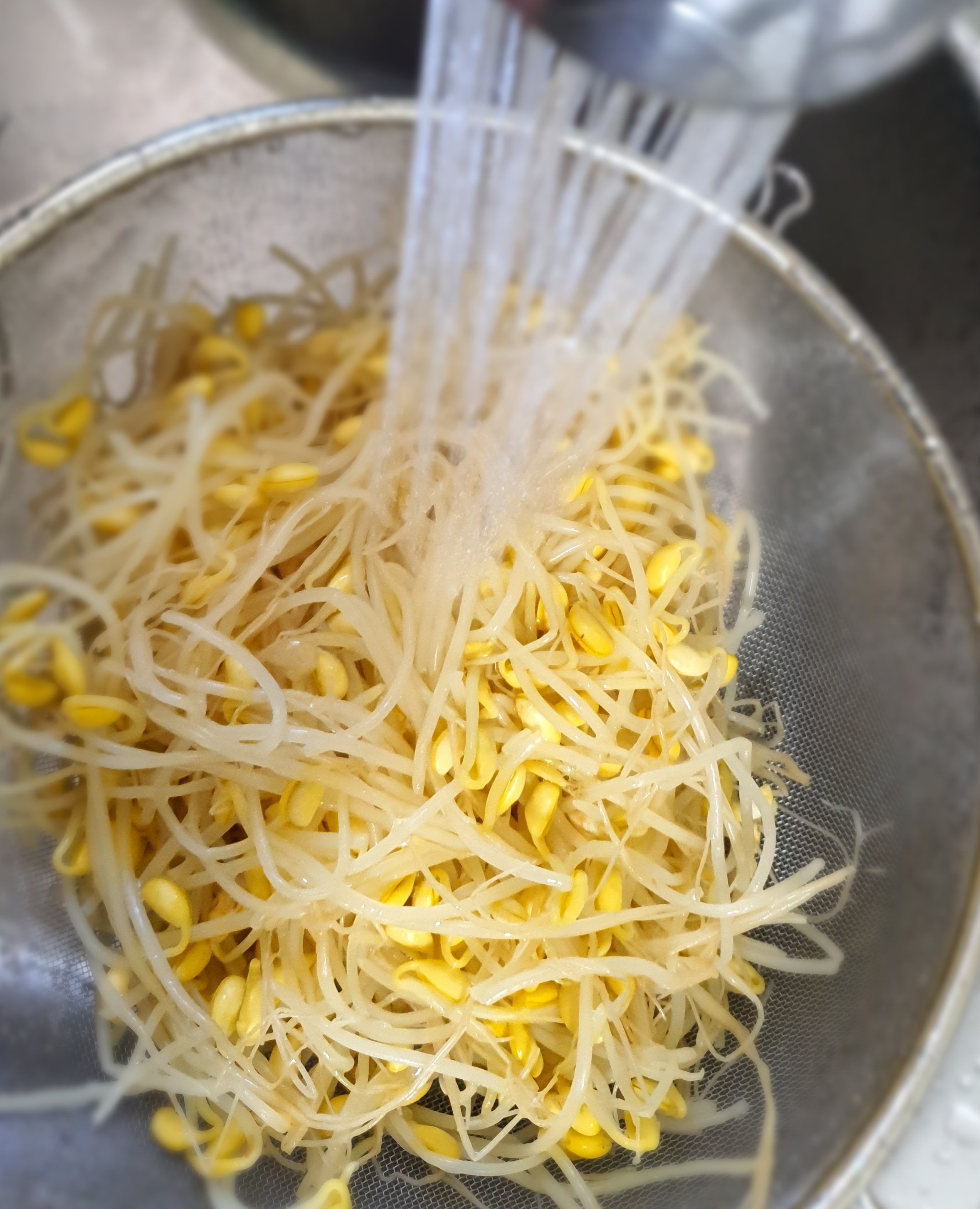 콩나물을-삶은-후-찬물-샤워를-해야-합니다.