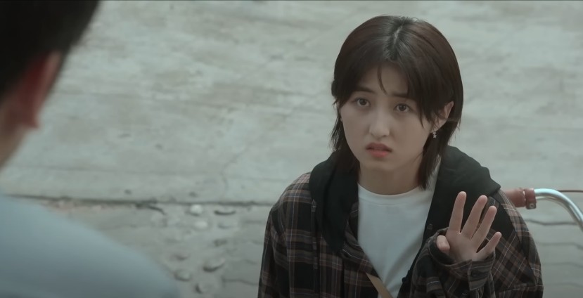 [중드추천] 드라마다시보기 천재기본법 결말 줄거리 등장인물 장신성, 뇌가음, 장쯔펑