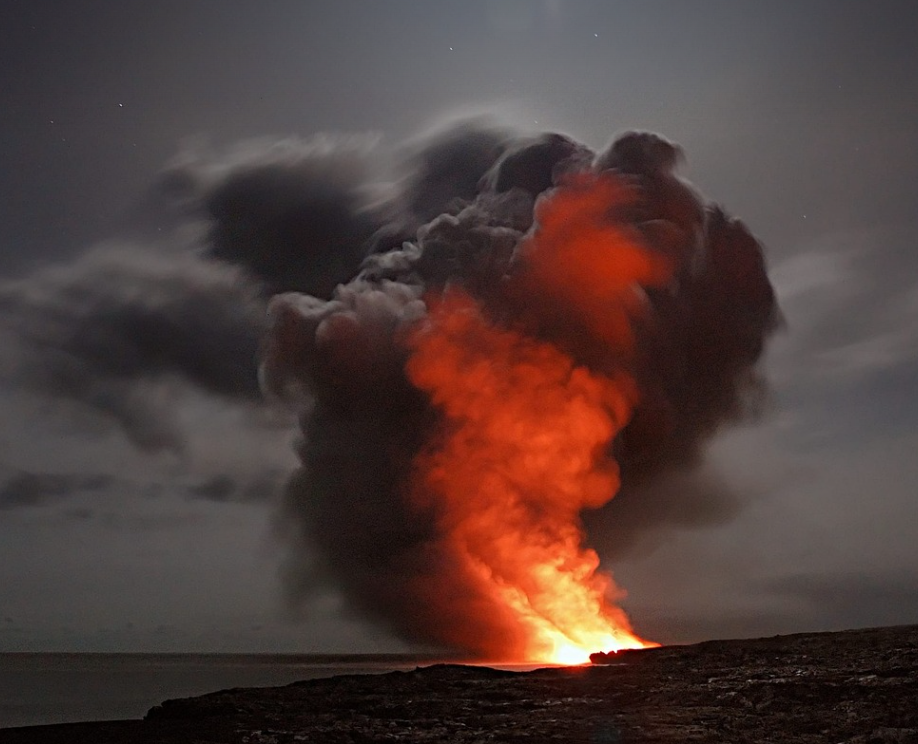 일상생활 배상책임보험