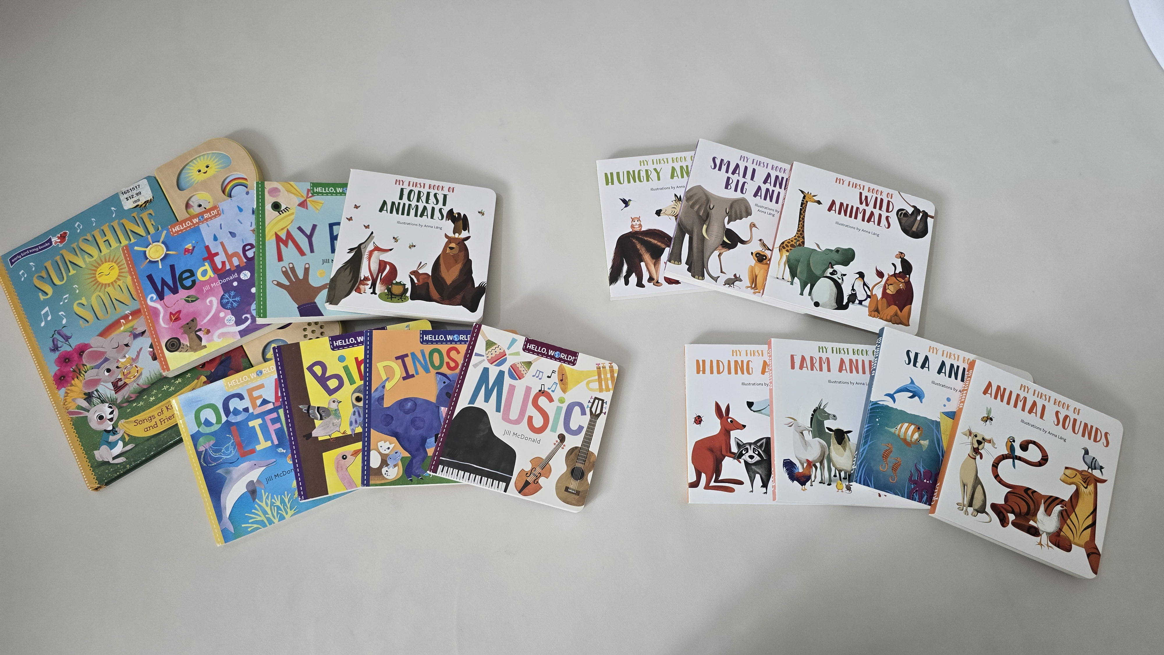 다양한 주제의 유아 영어 보드북 15권이 바닥에 펼쳐져 있음. 동물, 공룡, 음악, 날씨 등 반복 학습에 적합한 주제들로 구성된 유아용 영어 그림책 모음.